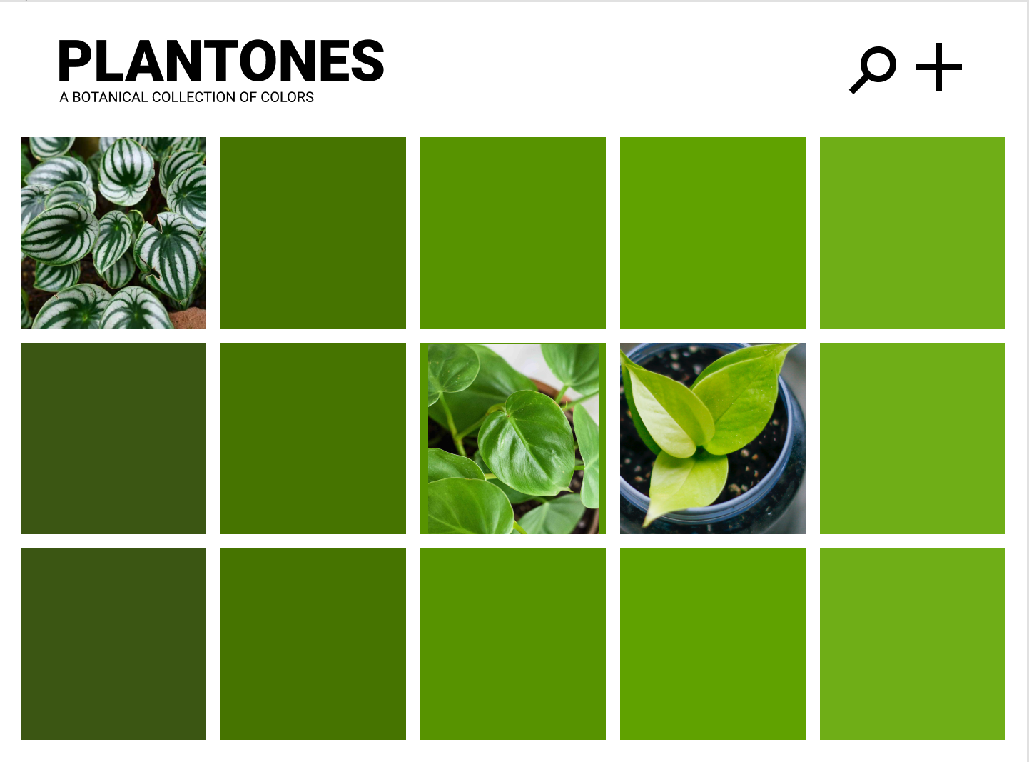 Plantones Homepage Mockup