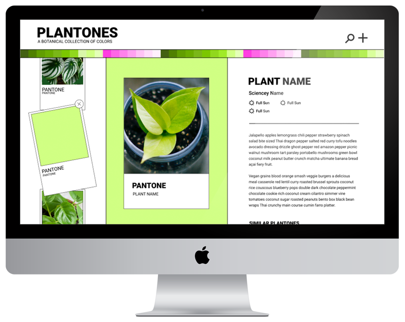Plantones Website Mockup
